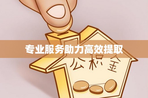 靖安专业服务助力高效提取