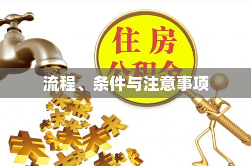 梧州流程、条件与注意事项